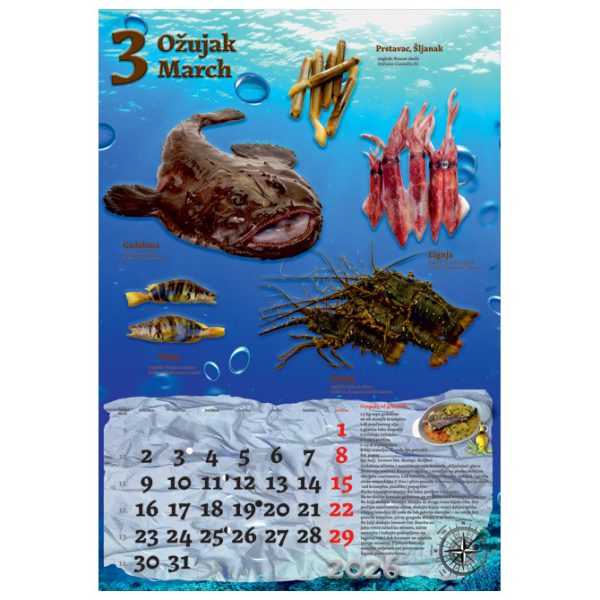 Kalendar "Ribarnica 2026" 13 listova, spirala - Slika 8