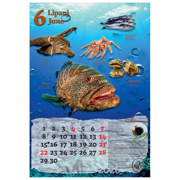 Kalendar "Ribarnica 2026" 13 listova, spirala - Slika 11