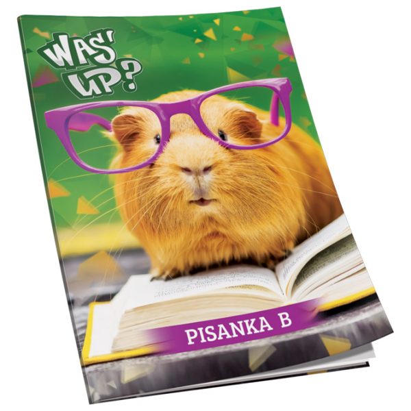 Obrazac školski pisanka "B" za 1razred Premium Connect Girl - Slika 8