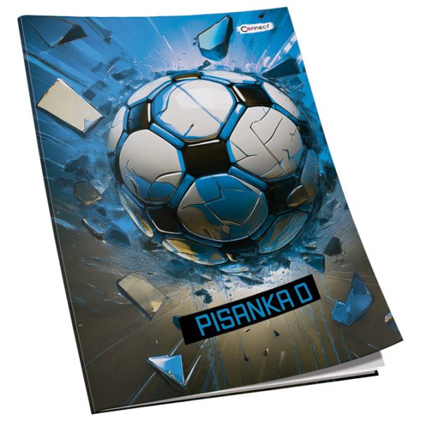 Obrazac školski pisanka "D" za 4razred Premium Connect Boy