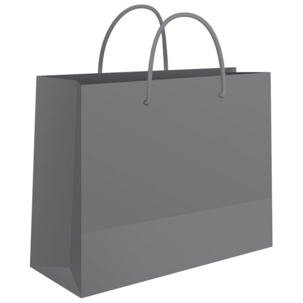 Vrećice ukrasne 24x16x7 cm sjajna plastifikacija Fornax srebrne
