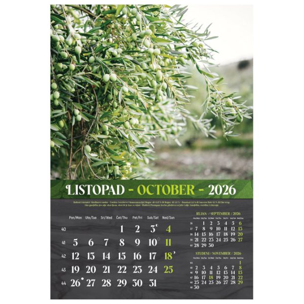 Kalendar "Masline 2026" 13 listova, spirala - Slika 3
