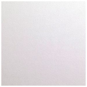 Kuverte Special Events 11x22 cm 120g pk10 Favini bijele