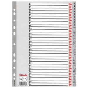 Pregrada plastična A4 brojevi 1-31 Esselte 100108 siva