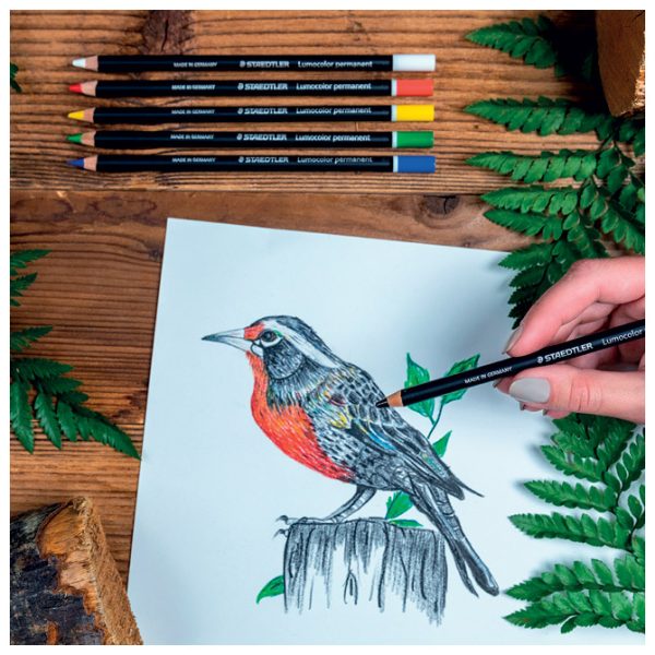 Olovka specijalna permanentna Glasochrom Design Journey pk6 Staedtler 10820BK6-C sortirano blister - Slika 3