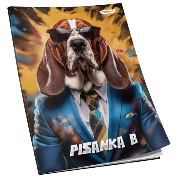 Obrazac školski pisanka "B" za 1razred Soft+ Connect Girl - Slika 2
