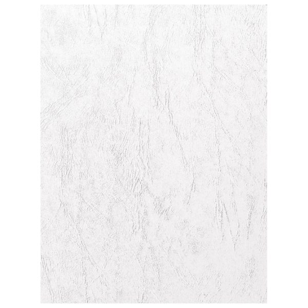 Korice za spiralni uvez 250g karton reljefne A3 pk100 Fornax bijele - Slika 2