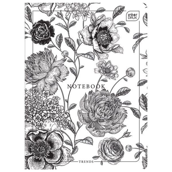 Teka meki uvez A5 crte 60L 70g Trends Interdruk - Slika 5