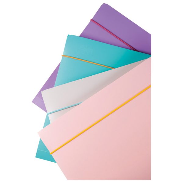 Fascikl klapa s gumicom pp A4 pk4 Fellowes 100041254 sortirano - Slika 3