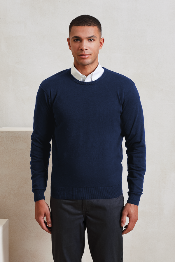 MEN'S CREW NECK COTTON RICH KNITTED SWEATER